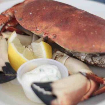 Fresh Crab Hastings