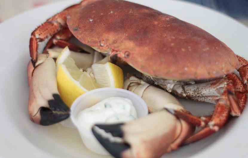 Fresh Crab Hastings