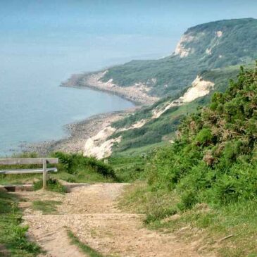 Fairlight Glen
