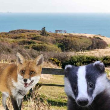 Rocklands Wildlife