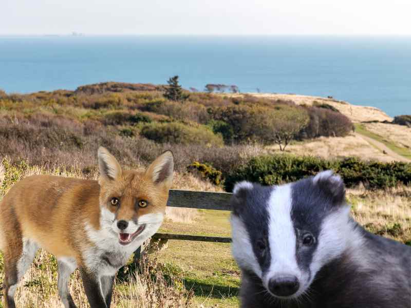 Rocklands Wildlife