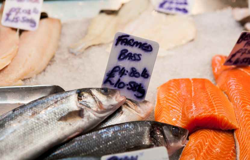Fresh Fish Hastings